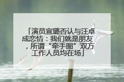 演员宣璐否认与汪卓成恋情：我们就是朋友，所谓“牵手图”双方工作人员均在场