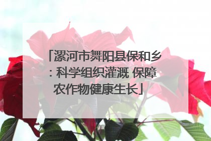 漯河市舞阳县保和乡：科学组织灌溉 保障农作物健康生长