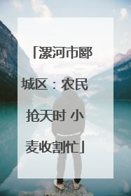 漯河市郾城区：农民抢天时 小麦收割忙