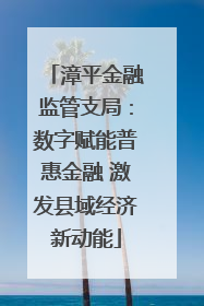 漳平金融监管支局：数字赋能普惠金融 激发县域经济新动能
