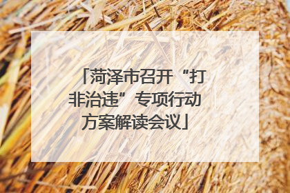 菏泽市召开“打非治违”专项行动方案解读会议