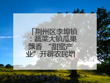 荆州区李埠镇：蔬菜大镇瓜果飘香 “甜蜜产业”开辟农民增收“新赛道”