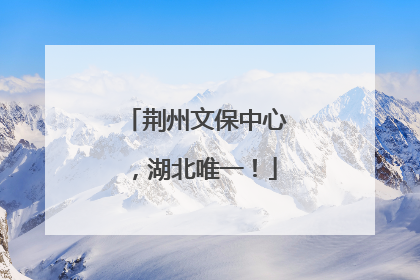 荆州文保中心，湖北唯一！