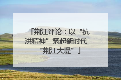 荆江评论：以“抗洪精神”筑起新时代“荆江大堤”