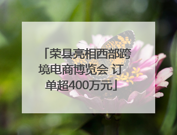 荣县亮相西部跨境电商博览会 订单超400万元