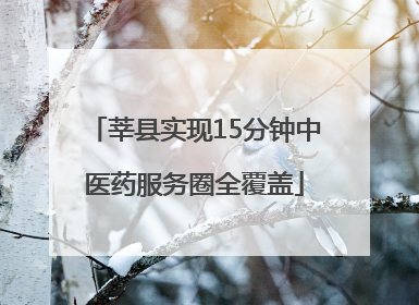 莘县实现15分钟中医药服务圈全覆盖