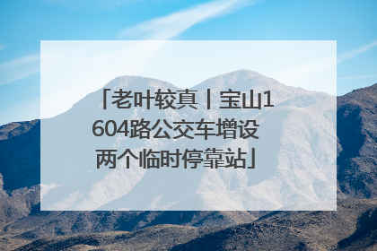 老叶较真丨宝山1604路公交车增设两个临时停靠站
