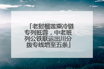 老挝榴莲乘冷链专列抵蓉，中老班列公铁联运出川分拨专线增至五条