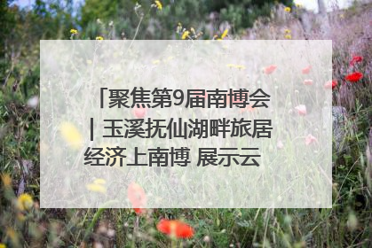 聚焦第9届南博会｜玉溪抚仙湖畔旅居经济上南博 展示云南生活新样本