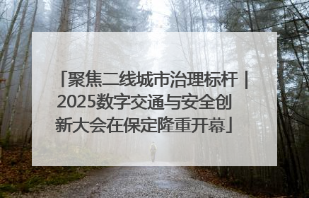 聚焦二线城市治理标杆｜2025数字交通与安全创新大会在保定隆重开幕
