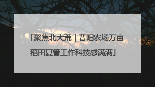 聚焦北大荒｜普阳农场万亩稻田夏管工作科技感满满