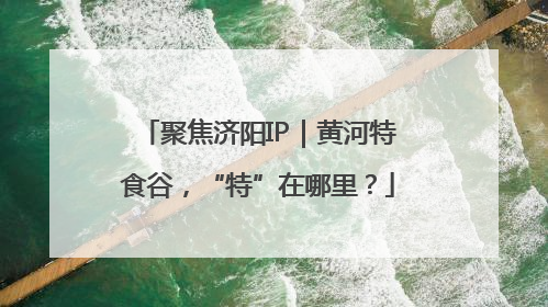 聚焦济阳IP｜黄河特食谷，“特”在哪里？