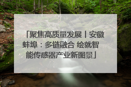 聚焦高质量发展丨安徽蚌埠：多链融合 绘就智能传感器产业新图景