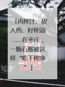 肉榨汁、皮入药、籽榨油……在枣庄，一颗石榴被这样“吃干榨净”