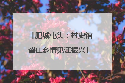 肥城屯头：村史馆留住乡情见证振兴