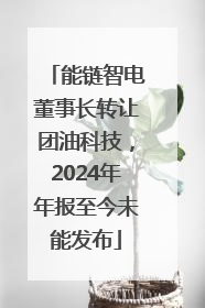 能链智电董事长转让团油科技，2024年年报至今未能发布
