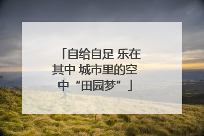 自给自足 乐在其中 城市里的空中“田园梦”