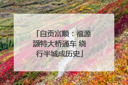 自贡富顺：福源灏特大桥通车 绕行半城成历史