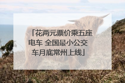 花两元票价乘五座电车 全国最小公交车月底常州上线
