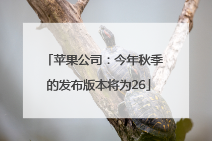 苹果公司：今年秋季的发布版本将为26