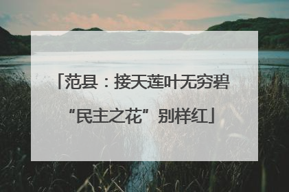 范县：接天莲叶无穷碧 “民主之花”别样红