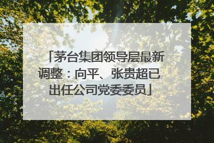 茅台集团领导层最新调整：向平、张贵超已出任公司党委委员