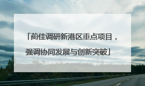 蔺佳调研新港区重点项目，强调协同发展与创新突破