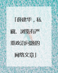 薛建华，私藏、浏览有严重政治问题的网络文章