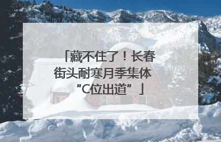藏不住了！长春街头耐寒月季集体“C位出道”
