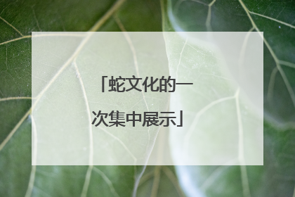 蛇文化的一次集中展示