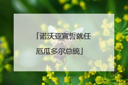 诺沃亚宣誓就任厄瓜多尔总统