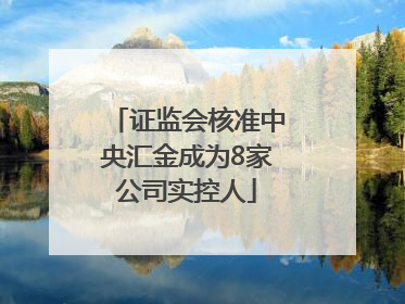 证监会核准中央汇金成为8家公司实控人