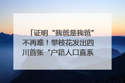 证明“我爸是我爸”不再难！攀枝花发出四川首张“户籍人口直系亲属关系谱”