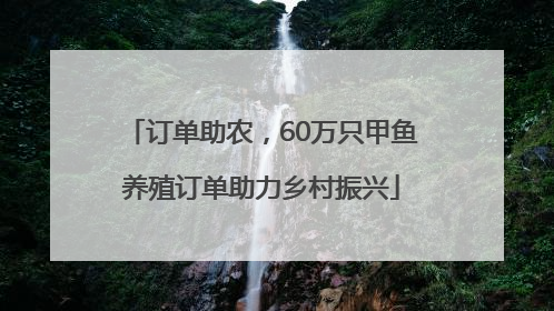 订单助农，60万只甲鱼养殖订单助力乡村振兴