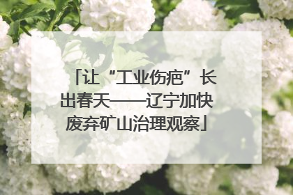 让“工业伤疤”长出春天——辽宁加快废弃矿山治理观察