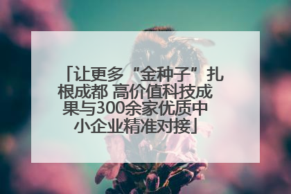 让更多“金种子”扎根成都 高价值科技成果与300余家优质中小企业精准对接