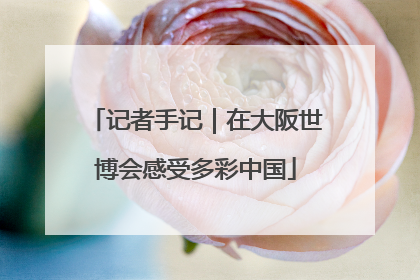 记者手记｜在大阪世博会感受多彩中国
