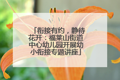 衔接有约，静待花开：福莱山街道中心幼儿园开展幼小衔接专题讲座