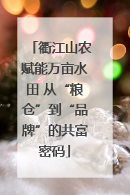 衢江山农赋能万亩水田 从“粮仓”到“品牌”的共富密码