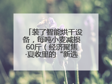 装了智能烘干设备，每吨小麦减损60斤（经济聚焦·夏收里的“新选手”）