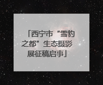西宁市“雪豹之都”生态摄影展征稿启事