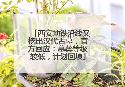 西安地铁沿线又挖出汉代古墓，官方回应：墓葬等级较低，计划回填