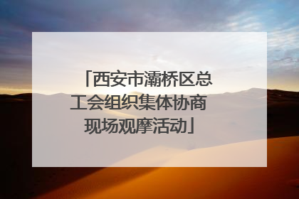 西安市灞桥区总工会组织集体协商现场观摩活动