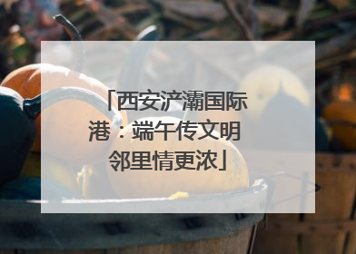 西安浐灞国际港：端午传文明 邻里情更浓