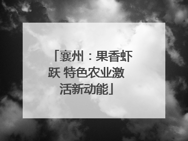 襄州：果香虾跃 特色农业激活新动能