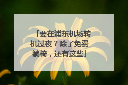 要在浦东机场转机过夜？除了免费躺椅，还有这些