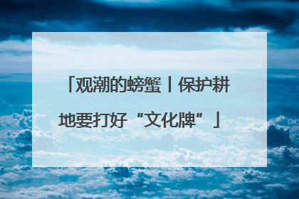 观潮的螃蟹丨保护耕地要打好“文化牌”
