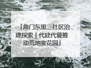 角门东里三社区治理探索｜代建代管推动荒地变花园