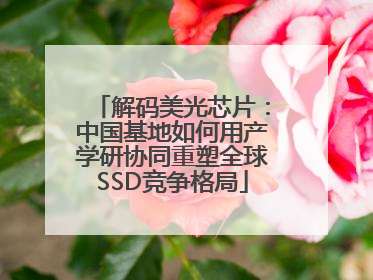 解码美光芯片：中国基地如何用产学研协同重塑全球SSD竞争格局