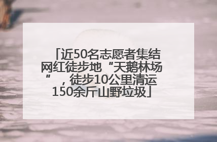 近50名志愿者集结网红徒步地“天鹅林场”，徒步10公里清运150余斤山野垃圾